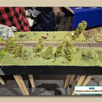 Exposition de Mérignac le 08 et 09 février 2025 (Salle des Fêtes de la Glaçière)
